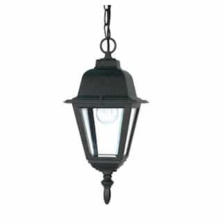 10" Briton Hanging Lantern Light, Clear Glass, Textured Black 