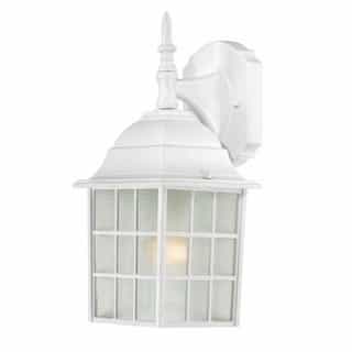 14" Adams Outdoor Wall Light, Frosted Glass