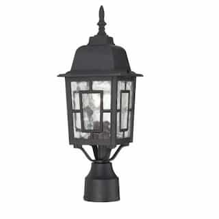 Nuvo 17" Banyon Outdoor Post Lights, Clear Water Glass, Textured Black