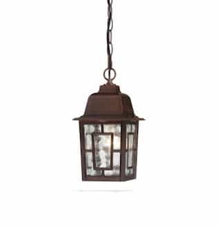 Nuvo 11" Banyon Outdoor Hanging Light, Clear Water Glass, Rustic Bronze