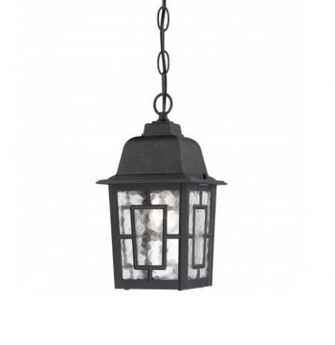 11" Banyon Outdoor Hanging Light, Clear Water Glass, Textured Black
