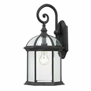 Nuvo 100W 19" Outdoor Wall Light, Textured Black