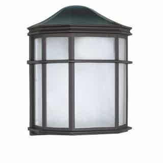 10in Outdoor Wall Lantern, Cage, Textured Black