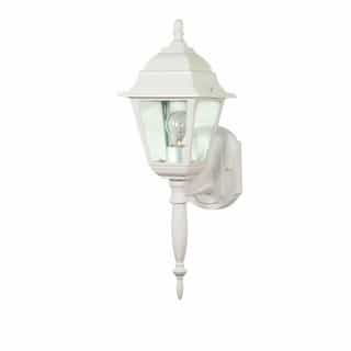 18" Briton Outdoor Wall Lantern Light, Clear Glass, White