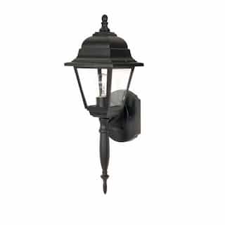 18" Briton Outdoor Wall Lantern Light, Clear Glass, Textured Black