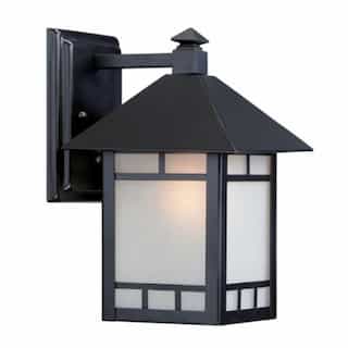 Drexel 7" Outdoor Wall Fixture, Stone Black, Frosted Seed Glass