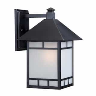 Drexel 9" Outdoor Wall Fixture, Stone Black, Frosted Seed Glass