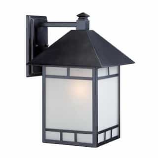 Drexel 10" Outdoor Wall Fixture, Stone Black, Frosted Seed Glass
