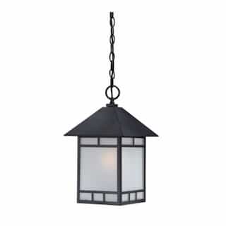 Drexel Outdoor Hanging Light Fixture, Stone Black, Frosted Seed Glass