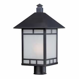 Drexel Outdoor Post Light Fixture, Stone Black, Frosted Seed Glass