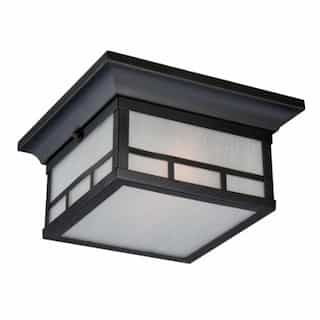 Drexel 2-Light Outdoor Flush Mount Fixture, Stone Black, Frosted Seed Glass