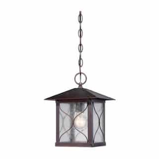 Nuvo Vega Outdoor Hanging Light Fixture, Classic Bronze, Clear Seed Glass