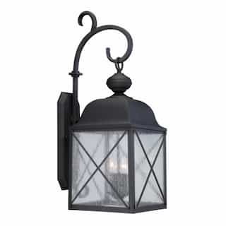 Wingate 10" Outdoor Wall Light Fixture, Texured Black, Clear Seed Glass