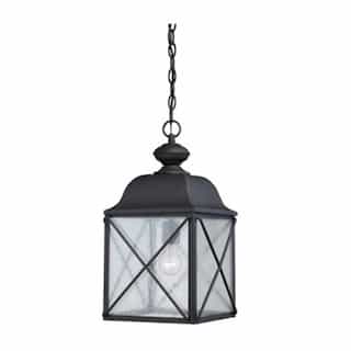 Wingate Outdoor Hanging Light Fixture,Textured Black, Clear Seed Glass