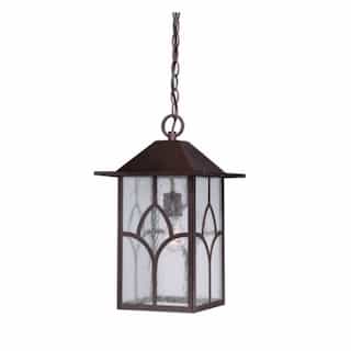 Stanton Outdoor Hanging Light Fixture, Clear Seed Glass