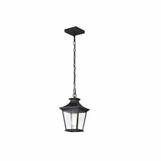 12-in Jasper Outdoor Hanging Lantern Fixture w/o Bulb, 120V, MB