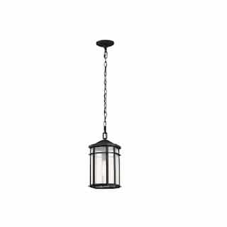 14.5-in Raiden Outdoor Hanging Lantern Fixture w/o Bulb, 120V, MB
