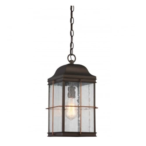 Nuvo 60W Howell Outdoor Hanging Light Lantern, Vintage Lamp Included