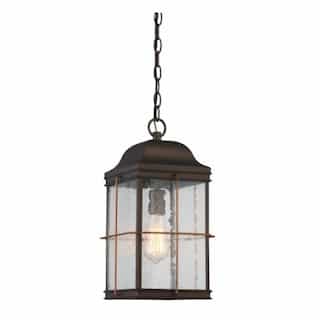 60W Howell Outdoor Hanging Light Lantern, Vintage Lamp Included