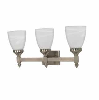Nuvo 100W 21 in. Triumph Vanity Fixture, Alabaster Glass, Brushed Nickel