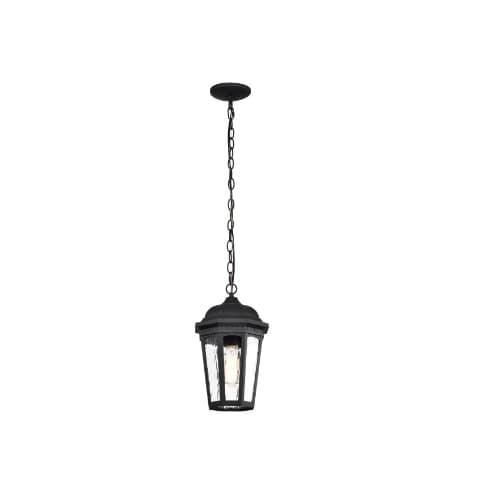 14.5-in 100W East River Hanging Lantern Light, 120V, Matte BLK, Water