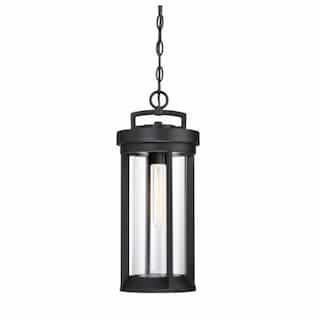 60W, Huron Hanging Lantern Light, Aged Bronze and Clear Glass