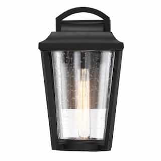 60W Lakeview Medium Lantern Light, Aged Bronze Finish, Clear Seed Glass
