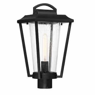 60W Lakeview Post Lantern Light, Aged Bronze Finish, Clear Seed Glass