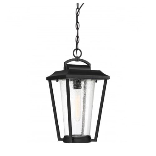 Nuvo 60W Lakeview Hanging Lantern Light, Aged Bronze Finish, Clear Seed Glass