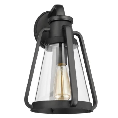 Nuvo 60W Everett Wall Sconce, 1-Light, Large, 120V, Black/Clear Glass