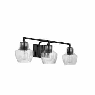 Destin Vanity Wall Fixture w/o Bulbs, 3-Light, Medium Base, Black/Silver