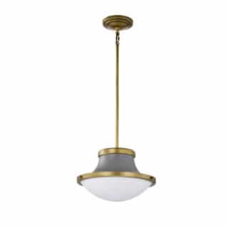 Nuvo 14-in Lafayette Pendant Fixture w/o Bulb, 120V, Gray/Natural Brass