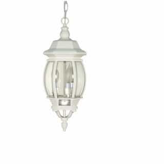 60W 20 in. Central Park Hanging Lantern, Clear Beveled Panels, White