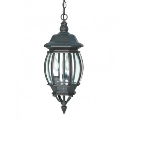 60W 20 in. Central Park Hanging Lantern, Clear Beveled Panels, Textured Black