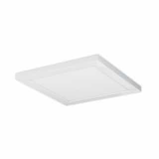 Blink Plus LED Surface Mount 12" x 12" Light Fixture, White