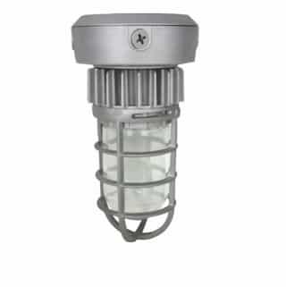Nuvo 13W LED Jelly Jar Light, Vapor Proof, Silver, 5000K