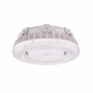 25W LED Canopy Fixture, Sensor Port, 3975 lm, 120/277V, White