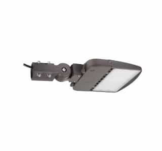 Nuvo 150W LED Area Light, Type 3, Dimmable, 277V-480V, 4000K, Bronze