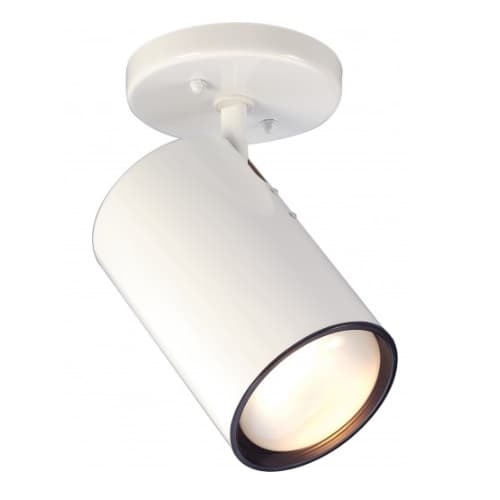 Semi-Flush Mount Close-to-Ceiling Straight Cylinder R30 Light Fixture