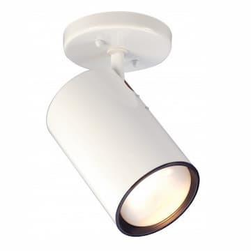 Semi-Flush Mount Close-to-Ceiling Straight Cylinder R30 Light Fixture