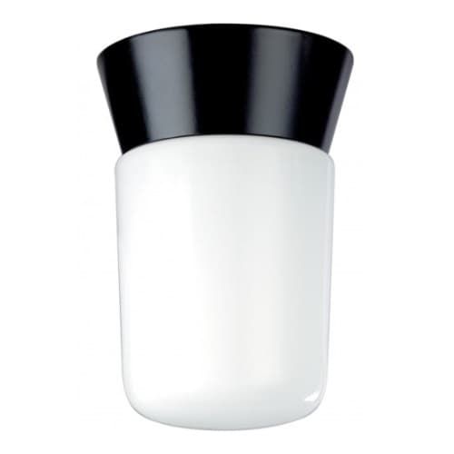 Utility Outdoor Ceiling Light, Black, White Glass Cylinder