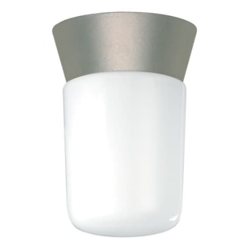 Utility Outdoor Ceiling Light, Satin Aluminum, White Glass Cylinder