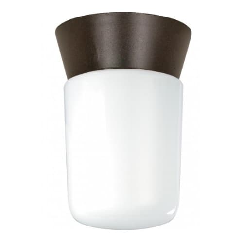 Utility Outdoor Ceiling Light, Bronzotic, White Glass Cylinder