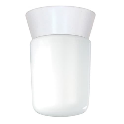 8" Outdoor Utility Ceiling Light, White, White Glass Cylinder