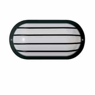 10in Outdoor Wall Light, Oval Cage, 1-light, Black