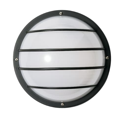10in Outdoor Wall Light, Round Cage, 1-light, Black