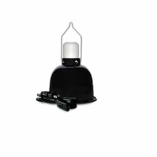 5.5-in Dome Light w/ Hanger and Porcelain Socket, Black