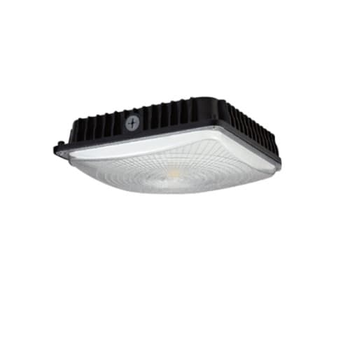 45W LED Canopy Light, Turtle Friendly, 150W MH Retrofit, 746 lm, 100V-277V, Black