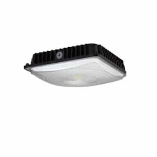 NovaLux 45W LED Canopy Light, Turtle Friendly, 150W MH Retrofit, 746 lm, 100V-277V, Black