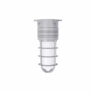 14W LED Vapor Tight Jelly Jar, Ceiling Mount, 100W Inc. Retrofit, 900 lm, 4000K, Gray